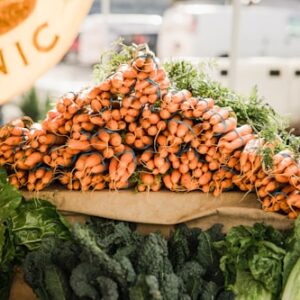 Microgreens Educational Workshop