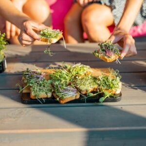 Organic Microgreens Starter Kit